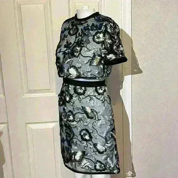 Self-Portrait Womens Florentine Embroidered Mesh Lace Floral Mini Dress US 2 - Picture 5 of 16